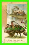 THANKSGIVING - TURKEYS - TRAVEL IN 1907 - THE VALENTINE & SONS - Giorno Del Ringraziamento