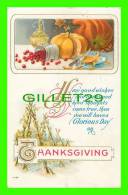 THANKSGIVING -  PUMPKIN & CRANBERRY - EMBOSSED - TRAVEL IN 1914 - HENDERSON INC - - Giorno Del Ringraziamento