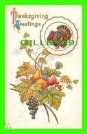 THANKSGIVING - TURKEYM, FRUIT, LEAF - EMBOSSED - TRAVEL IN 1911 - - Thanksgiving