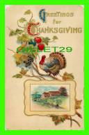 GREETINGS FOR THANKSGIVING  - TURKEY  - J. M. NEW-YORK - - Giorno Del Ringraziamento