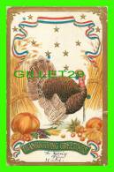 THANKSGIVING  GREETINGS  - TURKEYM PUNPKINS, FRUITS -  EMBOSSED - TRAVEL  IN 1907 - S.B. 269 - - Thanksgiving