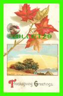 THANKSGIVING  GREETINGS - TURKEY - LEAF - WRITTEN - - Thanksgiving