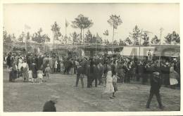 PORTUGAL - BARRA CHEIA - FESTA DE NOSSA SENHORA DA ATALAINHA - 1930 REAL PHOTO PC - Setúbal
