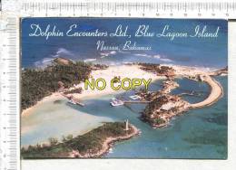 DOLPHIN ENCOUNTERS  Ltd  -  Bleu Lagoon  Island  -   NASSAU -  BAHAMAS  - - Bahama's