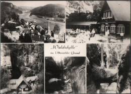 AK Waldidylle Im Uttewalder Grund, Gel, 1970 (Wehlen, Rathen, Uttewalde, Lohmen) - Rathen