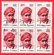 INDIA - USATO - 2009 - CV RAMAN - 10.00 (x 6) - Block - Oblitérés