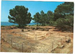 Italy, Marsala, Mothia Island, Mosaics, 1987 Used Postcard [12229] - Marsala