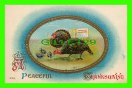 A PEACEFUL THANKSGIVING -  TURKEYS -  THANKSGIVING PROCLAMATION -  EMBOSSED - - Thanksgiving