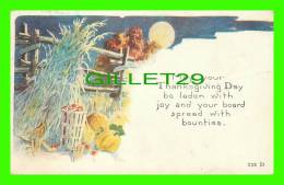 THANKSGIVING DAY - PUMPKIN, APPLES - TRAVEL  IN 1919 - SERIES No 328 D - - Giorno Del Ringraziamento