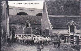 EPINAY SOUS SENART LES MOUTONS - Epinay Sous Senart