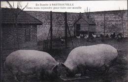 SARTROUVILLE EN BOMBE CARTE TRES RARE - Sartrouville