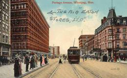Winnipeg Portage Avenue Tram Manitoba 1910 Postcard - Winnipeg