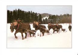 L´HIVER EN FRANCHE-COMTE - Le Débardage Du Bois - 13.3.1996 - U-1 - Franche-Comté