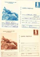 ANIMALS,SQUIRREL,OWL,ENTIER POSTAUX,STATIONERY,2X POSTCARD,1977,ROMANIA - Rongeurs