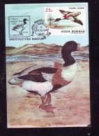 DUCK,CM,CARTES MAXIMUM,MAXICARD,1993,ROMANIA - Zwanen