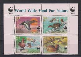 Azerbaijan. 2000 WWF - Ducks. - Eenden