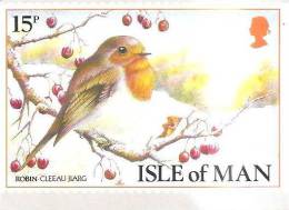 66868)cartolina Illustratoria Inglese Serie Isle Of Man - Rappresentazioni Varie - Isla De Man