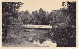 HEIDE-KALMTHOUT - ZON EN HEI - VIJVER MET KLEIN SPEELPLEIN - Kalmthout