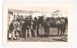 Évora - Feira Dos Ramos. Mercado. Costume Do Alentejo. Postal Fotográfico. - Evora