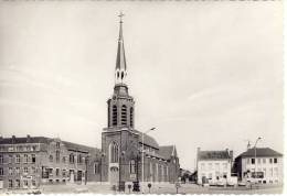 Beringen Markt - Beringen