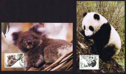 1995  Emission Conjointe Avec L´Australie Panda Et Koala - Maximumkarten