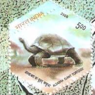 Turtle, Tortoise, Reptile, Perforation Error, India - Tortues