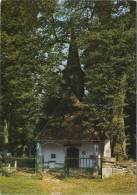 Sankt Vith :   Kapelle Wiesenbach    ( Grand Format ) - Saint-Vith - Sankt Vith