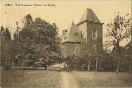 Libin : Chateau Du Buchay   ( Ecrit Avec Timbre ) - Libin
