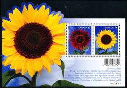 Canada (Scott No.2440 - Tourne-sol / Sunflower) [**] (P) FS / SS - Blocs-feuillets