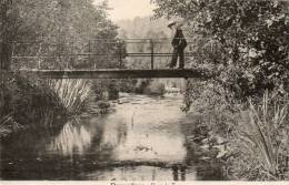 DAVERDISSE Pont De Fays - Daverdisse