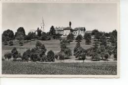 St. Pelagiberg 1951 - Sonstige & Ohne Zuordnung