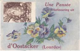 UNE PENSEE D'OOSTACKER - Other & Unclassified