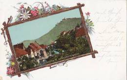 Neckarsteinach Mit Dilsberg, Gesamtansicht (aufgeklebtes Bild), LITHOGRAPHIE: Astrahmen, Wiesenblumen, 1901 - Neckargemünd