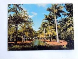 Carte Postale : ILE DE LA REUNION : SAINT-DENIS : Le Jardin De L'Etat - Saint Denis