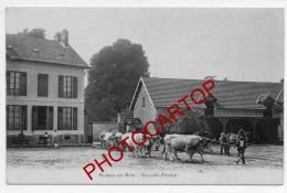 ROISSY EN BRIE-grande FERME-BOEUFS-AGRICULTURE-ANIMAUX-ANIMATION-METIERS-FRANCE- - Roissy En Brie