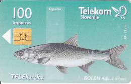 Slovenia, 110, Fishes, Bolen / Mura V Vasi Krog, 2 Scans. - Slovenië