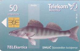 Slovenia, 132, Fishes, Smuč / Slivniško Jezero, 2 Scans. - Slovenia