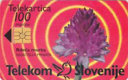 Slovenia, 144, Flowers, Rdeča Murka / Siol Paket, 2 Scans. - Slovénie
