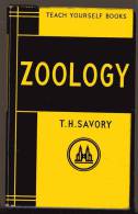 LIVRE - TEACH YOURSELF BOOKS - ZOOLOGY - T.H. SAVORY - 1962 - 184 PAGES - NOMBREUSES ILLUSTRATIONS - Andere & Zonder Classificatie