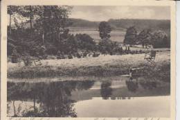 5948 SCHMALLENBERG - FREDEBURG, Sanatorium Haus Monika, Parkanlagen - Schmallenberg