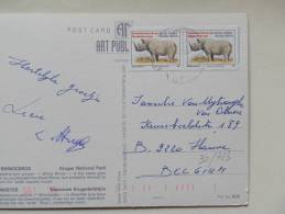 30/723   CP  POUR LA BELG  AFRIQUE DU SUD - Rhinoceros