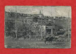 * CHAMPDENIERS-Vue Générale(côté Sud)-Vache Ou Taureau Devant?-1919 - Champdeniers Saint Denis