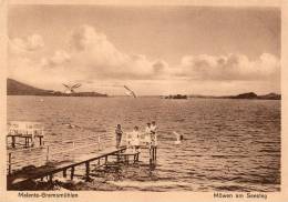 Malente Gremsmühlen - Möwen Am Seesteg  L16 - Malente-Gremsmuehlen