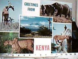 ELEPHANT ELEFANTE ELEFANTI AFRICA  KENYA GIRAFFA LEONE LEOPARDO V1975 EA8231 - Olifanten