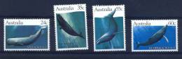 AUSTRALIA Whales - Wale