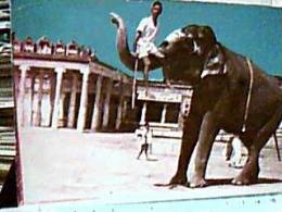 ELEPHANT ELEFANTE ELEFANTI ASIA  INDIA LIFTING A BOY RAGAZZO V1974  EA8240 - Elefanti