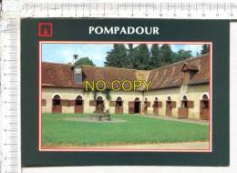 POMPADOUR -  Jumenterie Nationale De La Rivière - Arnac Pompadour