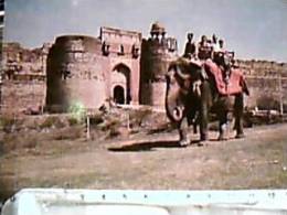 ELEPHANT ELEFANTE ELEFANTI ASIA  INDIA  PURANA QUILLA  OLD FORT  DELHI VB1974  EA8246 - Elefanti