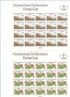 LIECHTENSTEIN 1977 EUROPA CEPT - VEDUTA DI VADUZ E CARTA DEL 1721 - 2 MINIFOGLI INTEGRI - Blocs & Feuillets