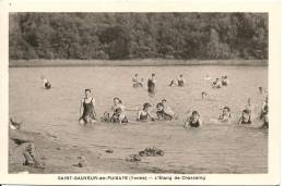 SAINT SAUVEUR EN PUISAYE ETANG DE CHASSAING - Saint Sauveur En Puisaye